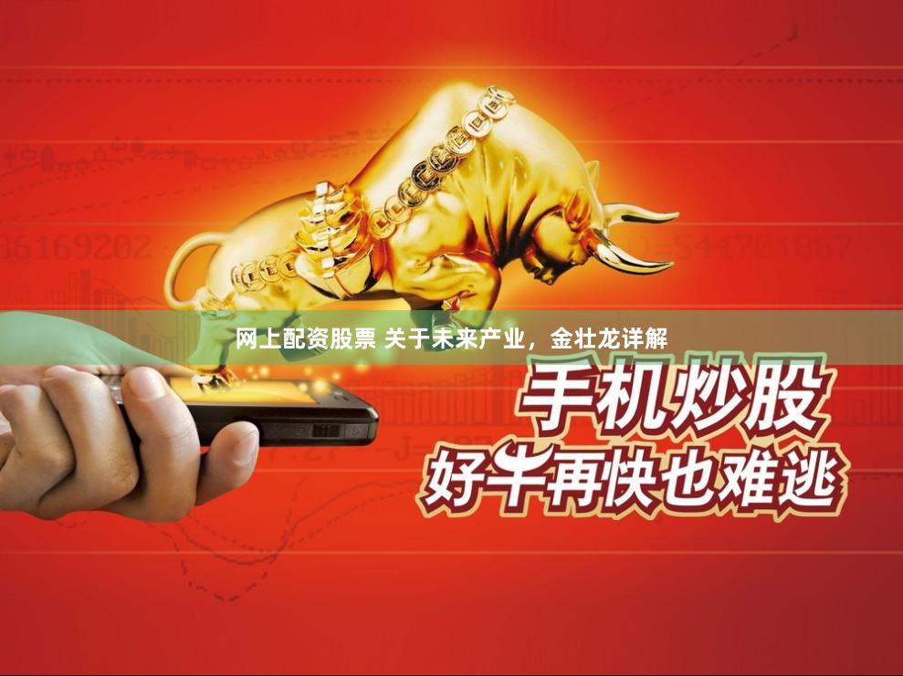 网上配资股票 关于未来产业，金壮龙详解