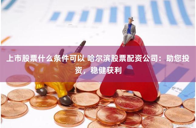 上市股票什么条件可以 哈尔滨股票配资公司：助您投资，稳健获利