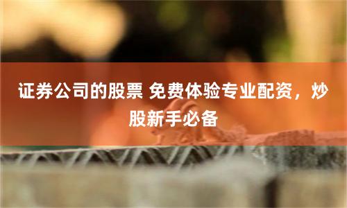 证券公司的股票 免费体验专业配资，炒股新手必备
