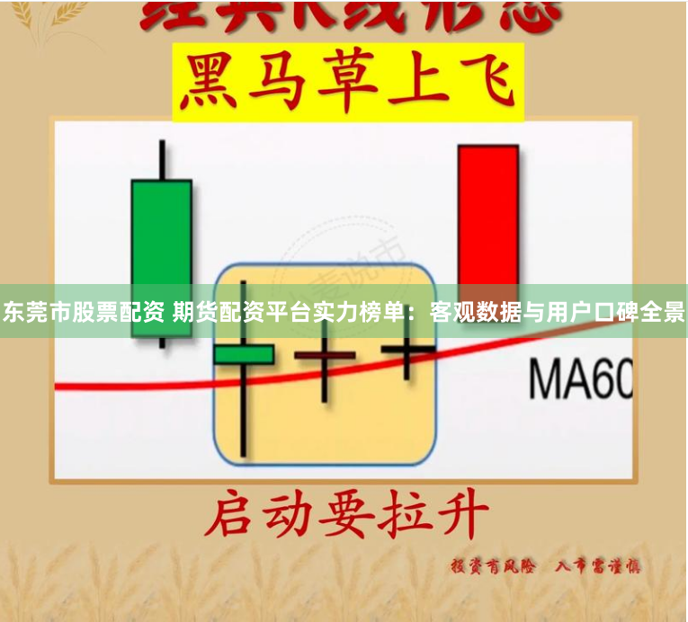 东莞市股票配资 期货配资平台实力榜单：客观数据与用户口碑全景