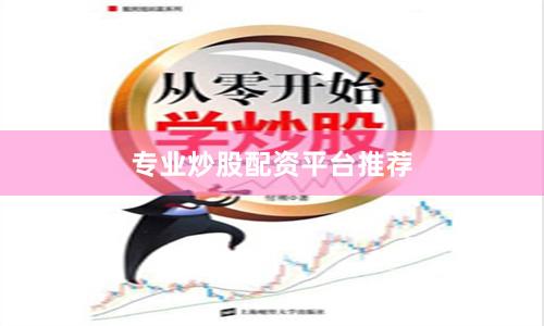 专业炒股配资平台推荐